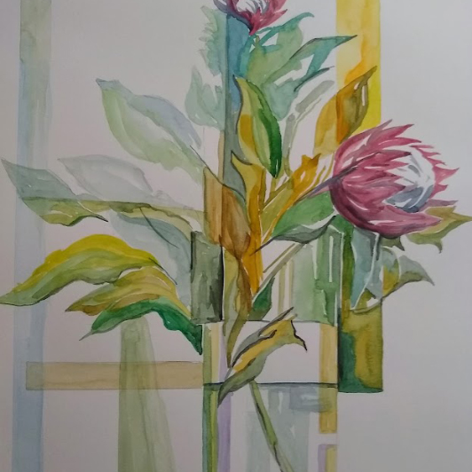 Chrysanthemum