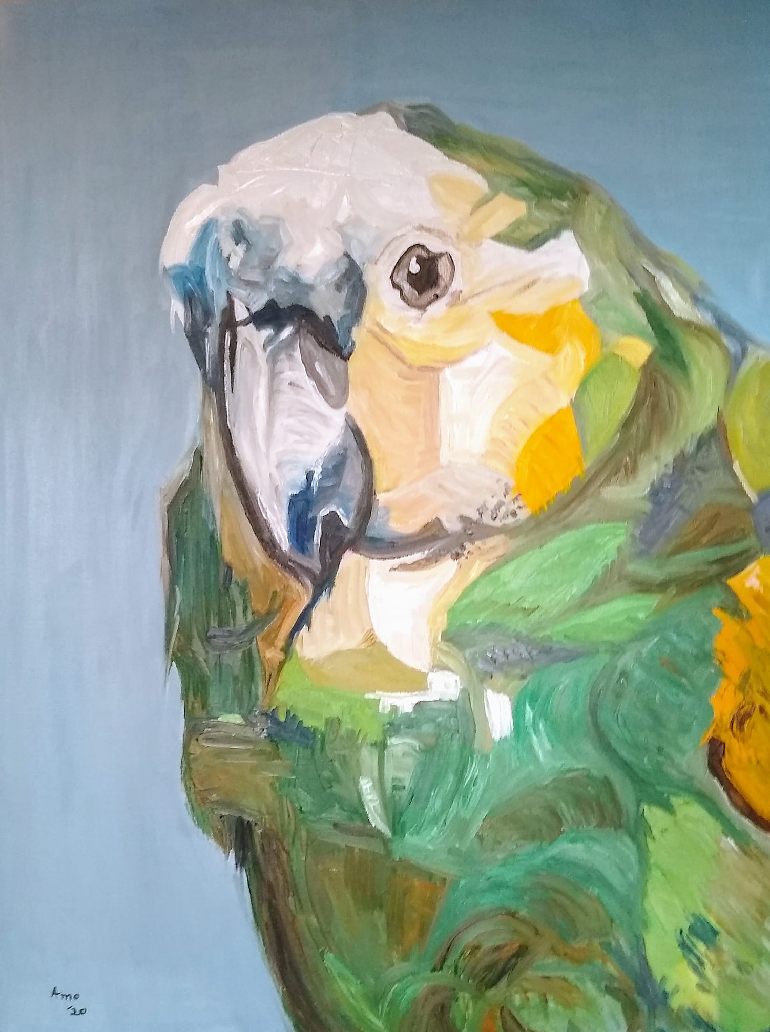 Parrot
