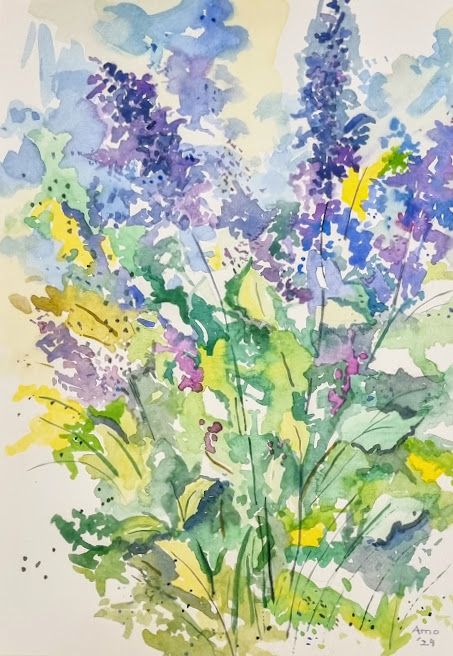 Lavender in Bloom