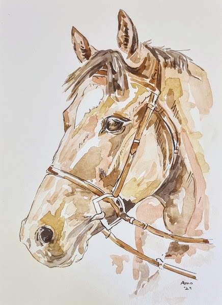Equine Grace