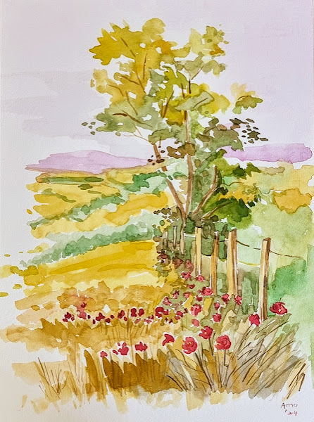 Wildflowers Along the Fence