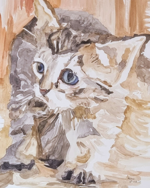 Feline Freeze