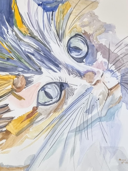 Whiskered Daydream