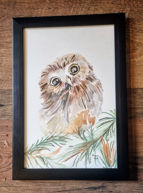 The Wise Gaze