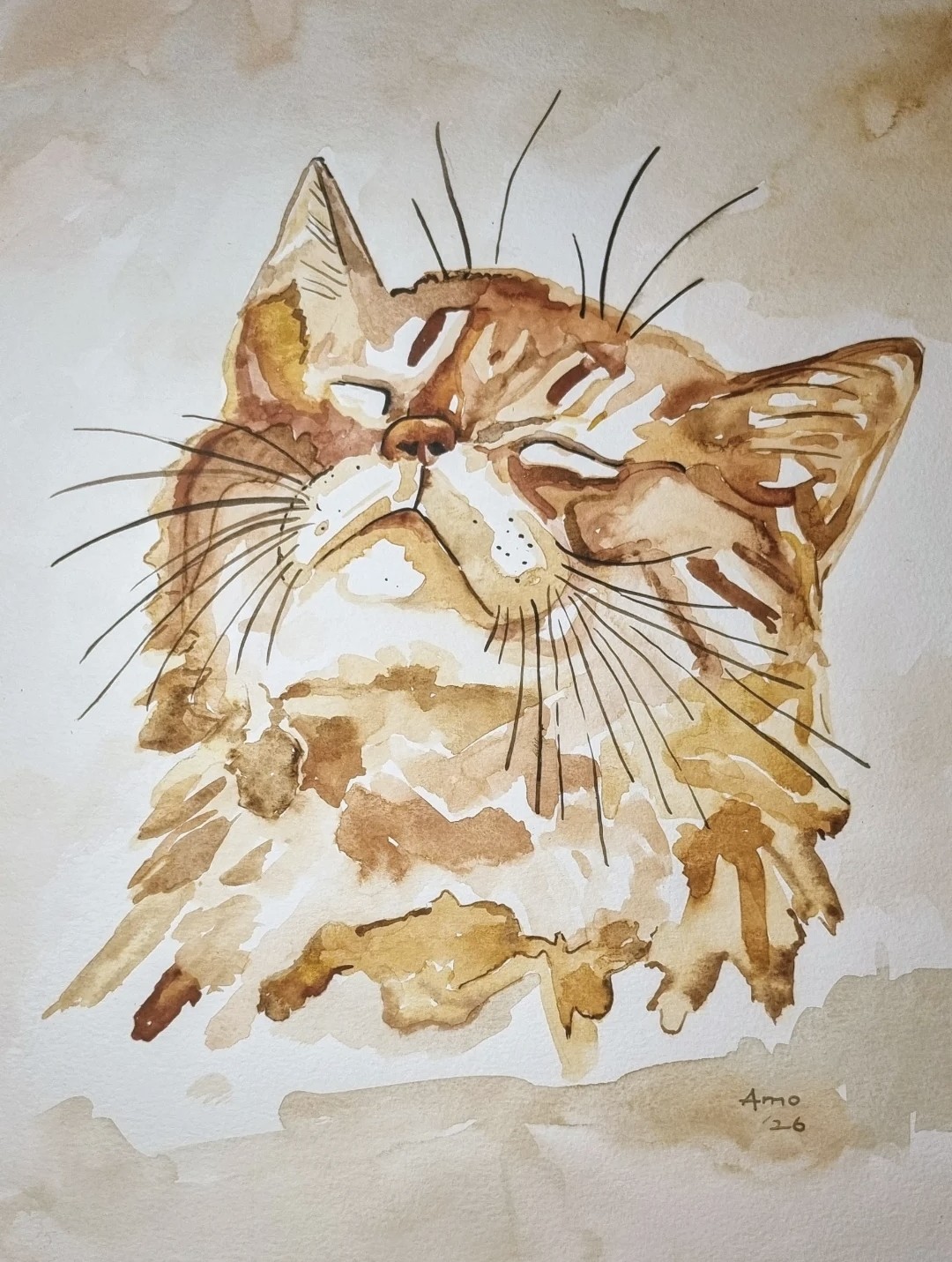 Quiet Contentment