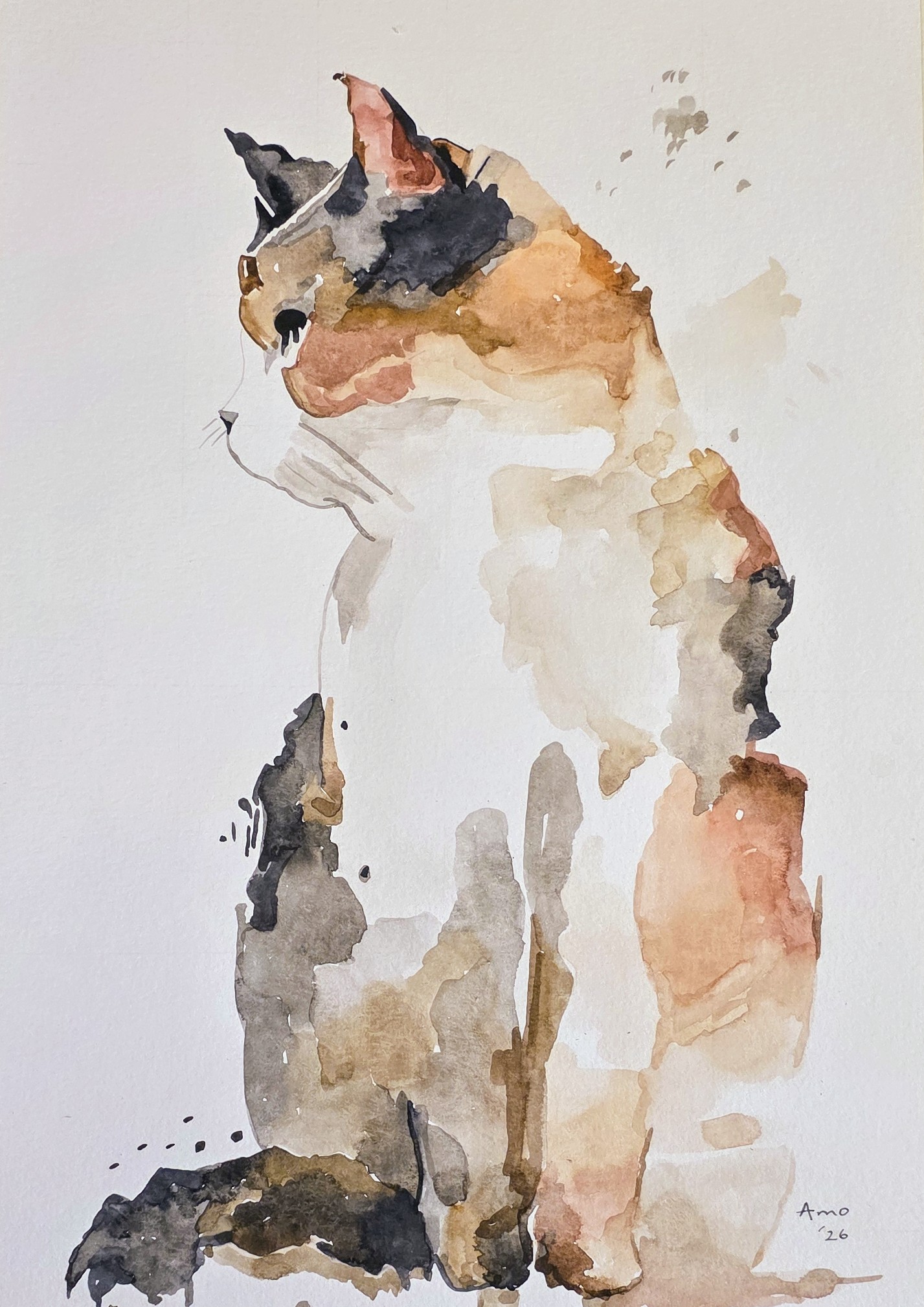 Whiskered Thoughts